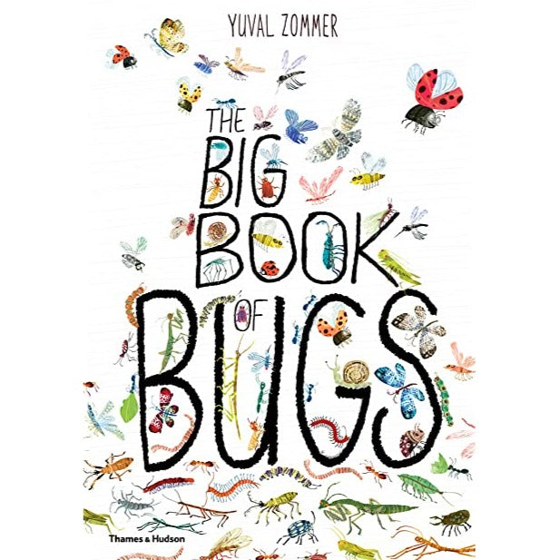 The Big Book of the Bugs ~ by Yuval Zommer - Little Gumnut Co.